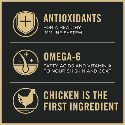 Adult Weight Management Shredded Blend Chicken & Rice Formula Dry Dog Food, 6-lb bag