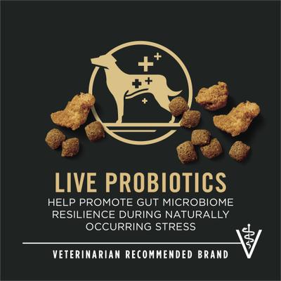 Alimento seco para perros con fórmula de pollo y arroz desmenuzado para control de peso adulto, bolsa de 6 lb