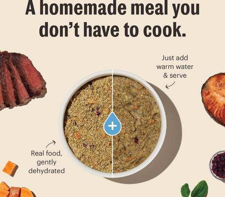 Wholemade Grain-Free Beef Dehydrated Dog Food, 10-lb box