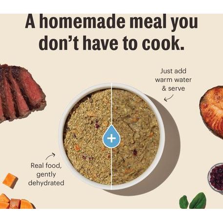 Alimento deshidratado para perros Wholemade de carne de res y salmón integral, caja de 4 lb