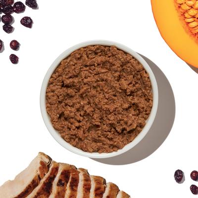 Grain-Free Chicken Pate Wet Cat Food, 5.5-oz, case of 12