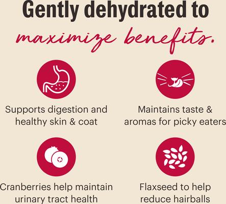 Dehydrated Grain-Free Chicken Cat Food, 4-lb