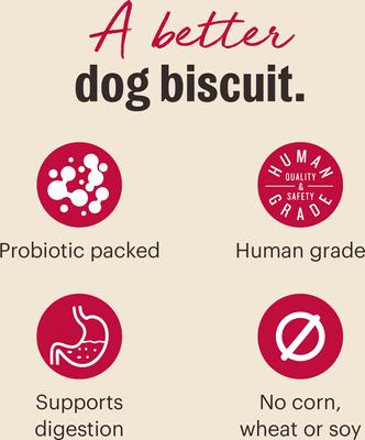 Goat's Milk N' Cookies Slow-Baked with Pumpkin Dog Treats, 8-oz bag