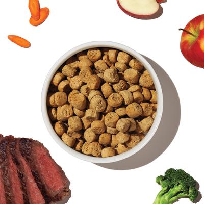 Grain-Free Beef Whole Food Clusters Dry Dog Food, 10-lb bag