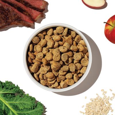 Whole Food Clusters Whole Grain Beef & Oat Dry Dog Food, 1-lb bag