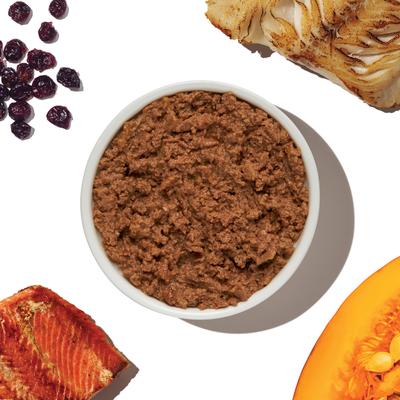 Grain-Free Salmon & Cod Pate Wet Cat Food, 5.5-oz, case of 12