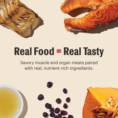 Grain-Free Salmon & Cod Pate Wet Cat Food, 5.5-oz, case of 12