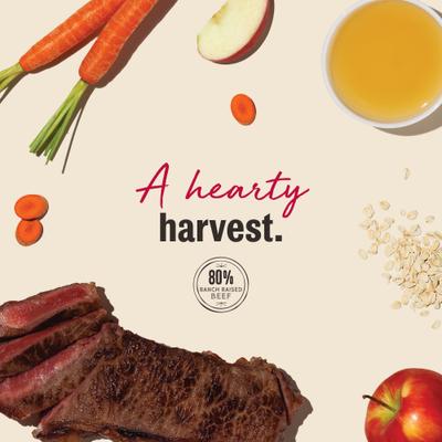 Jerky Harvest Mini Bars Beef Recipe with Carrots & Apples Dog Treats, 4-oz bag