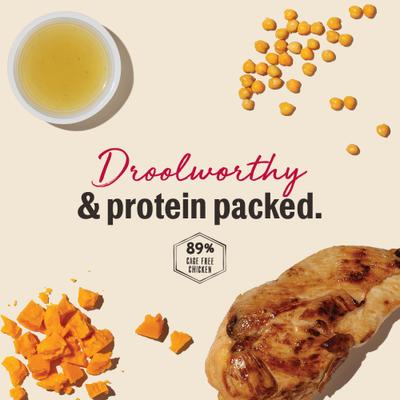 Gourmet Barbecue Liver Chips Chicken Liver & Cheddar Recipe Dog Treats, 4-oz bag