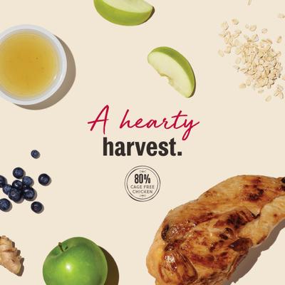 Jerky Harvest Mini Bars Chicken Recipe with Apples & Blueberries Dog Treats, 4-oz bag