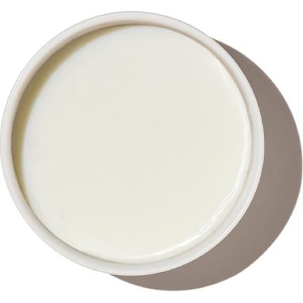 Instant Goat's Milk Daily Boosters, grado Humano con Probióticos para Perros y Gatos. 147 gr.