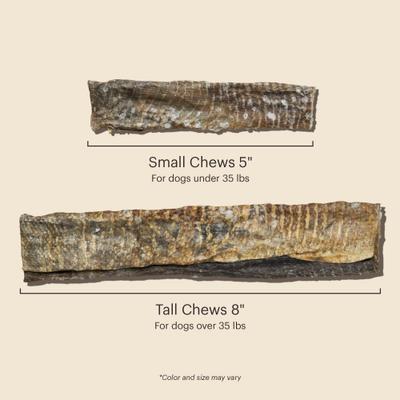 Beams Ocean Chews Cod Fish Skins Dehydrated Dog Treats, Small, 2.75-oz bag