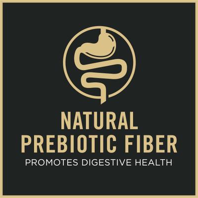 Adult Indoor Chicken & Rice Formula High Protein Dry Cat Food, 16-lb bag