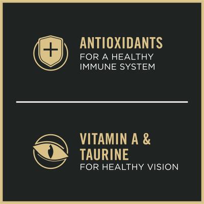 Adult Indoor Chicken & Rice Formula High Protein Dry Cat Food, 16-lb bag