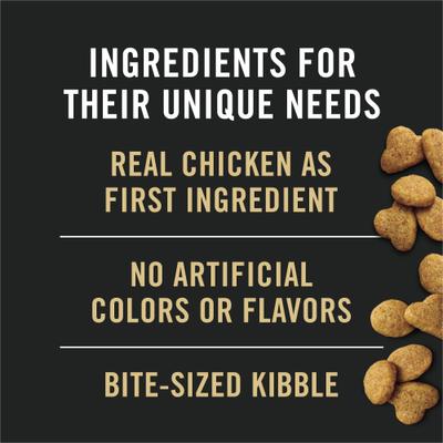 Adult Indoor Chicken & Rice Formula High Protein Dry Cat Food, 16-lb bag