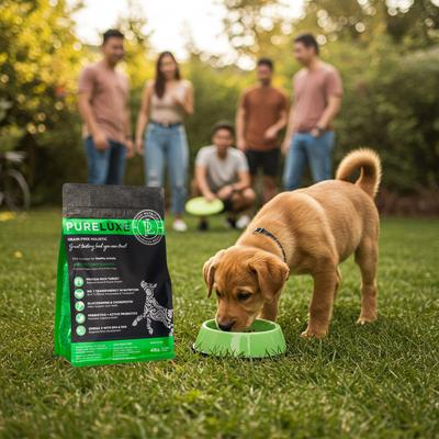 Healthy Activity Grain-Free Turkey & Split Peas Dry Dog Food, 22-lb bag