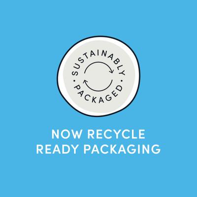 Plaque Busters with Pumpkin Spice Dental Dog Treats, 9.5-oz bag, 10 count