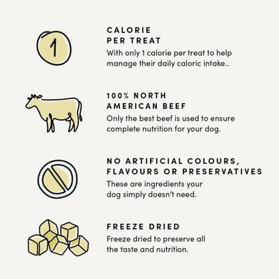 Mini Trainers Freeze-Dried Beef Liver Dog Treats, 4.4-oz bag