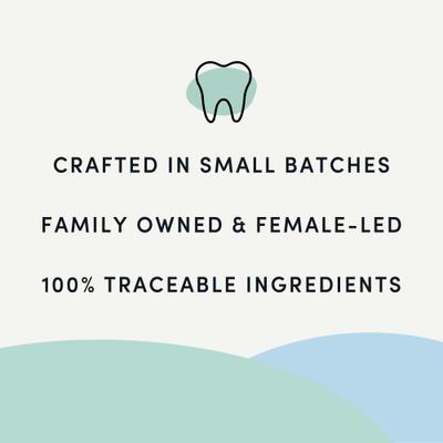 Plaque Busters with Pumpkin Spice Dental Dog Treats, 9.5-oz bag, 10 count