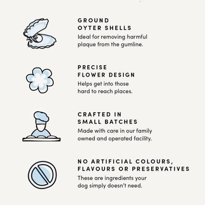 Plaque Busters with Pumpkin Spice Dental Dog Treats, 9.5-oz bag, 10 count