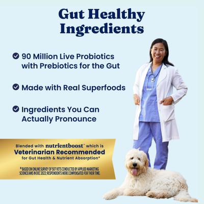 High Protein Gut Health Real Beef, Egg & Pea Grain-Free Dry Dog Food, 3.75-lb bag