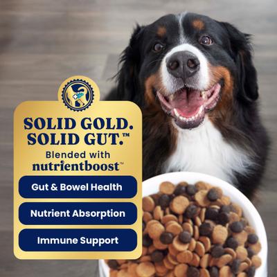 Sensitive Stomach Gut Health Cold Water Salmon & Vegetable Grain-Free Dry Dog Food, 22-lb bag