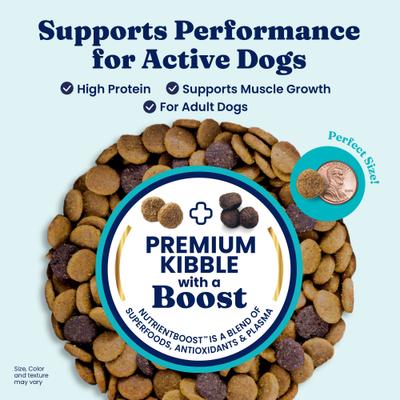 High Protein Gut Health Real Beef, Egg & Pea Grain-Free Dry Dog Food, 3.75-lb bag