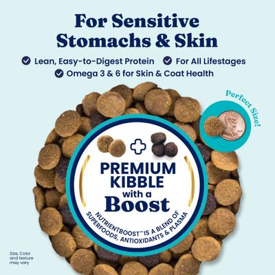 Sensitive Stomach Gut Health Cold Water Salmon & Vegetable Grain-Free Dry Dog Food, 22-lb bag