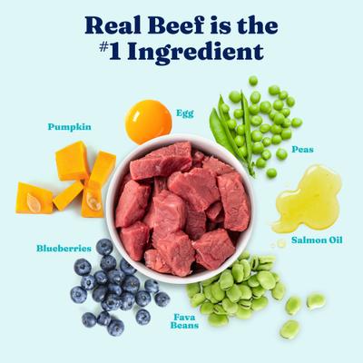 High Protein Gut Health Real Beef, Egg & Pea Grain-Free Dry Dog Food, 3.75-lb bag