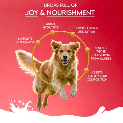 Nature's Sip Camel's Milk with Apple, Coconut, Beetroot & Mint Powder Digestive Supplement for Dogs, 10-oz jar