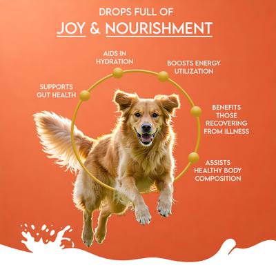 Nature's Sip Camel Milk Powder with Papaya, Banana, Broccoli & Flaxseed Grain-Free Dog Food Topper & Liquid Treat, 5.29-oz jar