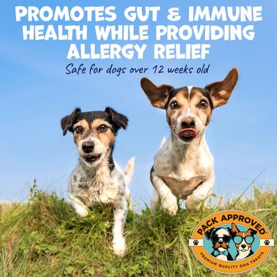 Peanut Butter Allergy Supplement with Colostrum for Dogs, 8.46-oz