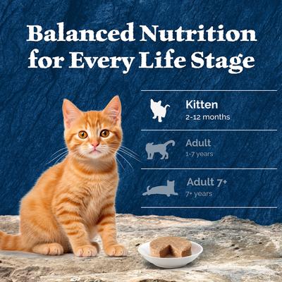 Wilderness Kitten Salmon Grain-Free Canned Cat Food, 3-oz, case of 24