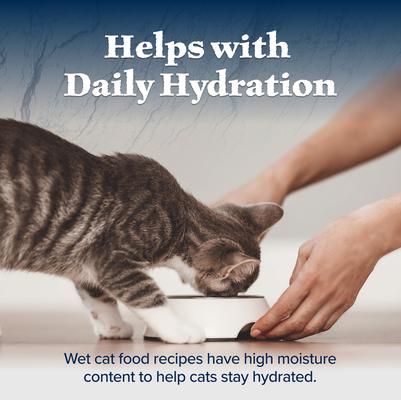 Wilderness Kitten Salmon Grain-Free Canned Cat Food, 3-oz, case of 24