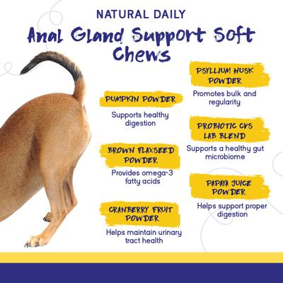 Anal Gland Support Supplement, 60 count