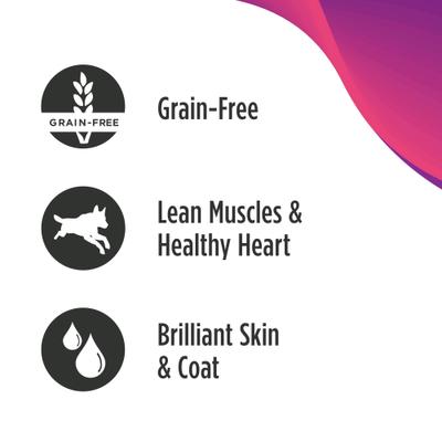 Bundle: Nulo Lamb & Lentils Recipe + Freestyle Beef, Peas & Carrot Recipe Canned Dog Food