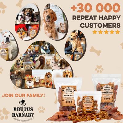 Thick Cut Whole Pig Ear Natural Dog Chew Treats, 15 count