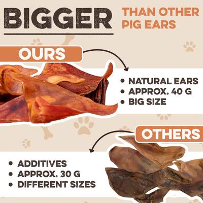 Thick Cut Whole Pig Ear Natural Dog Chew Treats, 15 count