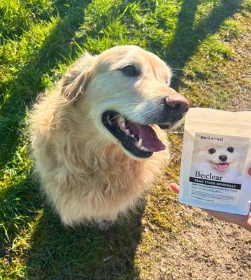 Be:clear Natural Tear Stain Removal Supplement for Dogs & Cats, 200-g