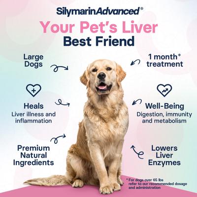 S-Adenosylmethionine & Silybin Tablet Liver Health Supplement for Large Dogs, 30 count