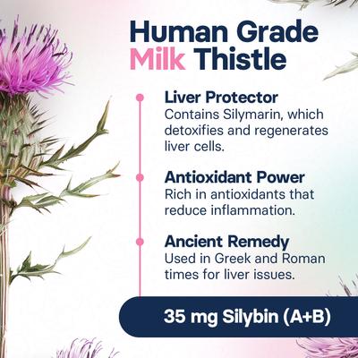 S-Adenosylmethionine & Silybin Tablet Liver Health Supplement for Large Dogs, 30 count