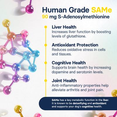 S-Adenosylmethionine & Silybin Tablet Liver Health Supplement for Small Dogs, 30 count