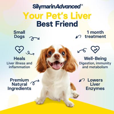 S-Adenosylmethionine & Silybin Tablet Liver Health Supplement for Small Dogs, 30 count
