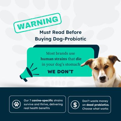 Calming Powder Supplement for Dogs, 30 count