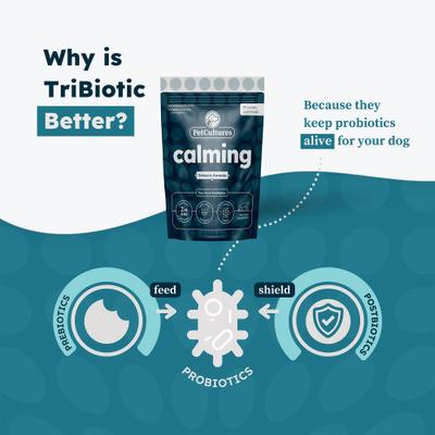 Calming Powder Supplement for Dogs, 30 count