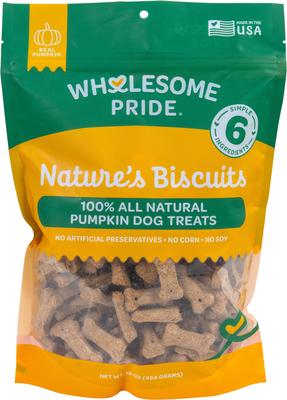 Nature's Biscuits Pumpkin Mini Dog Crunchy Treats, 16-oz bag