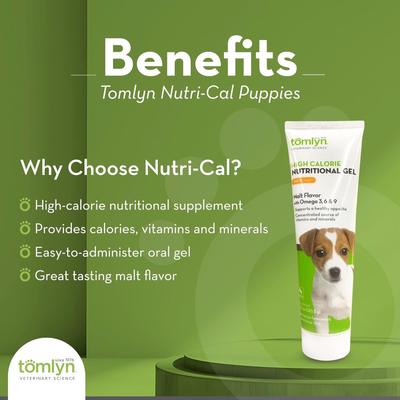 Nutri-Cal Malt Flavored Gel High Calorie Supplement for Puppies, 4.25-oz tube