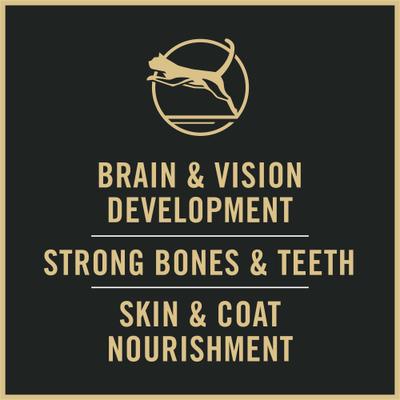 Complete Essentials Chicken & Rice Formula Kitten Dry Cat Food, 16-lb bag