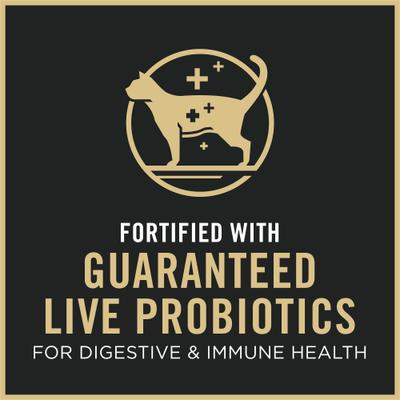 Complete Essentials Chicken & Rice Formula Kitten Dry Cat Food, 16-lb bag