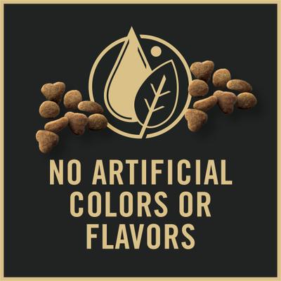 Complete Essentials Chicken & Rice Formula Kitten Dry Cat Food, 16-lb bag